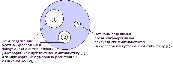 Карта сайта