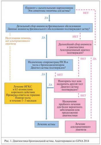 Бронхиальная астма: неотложная помощь