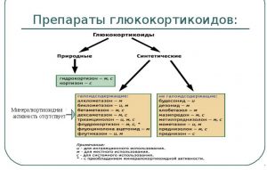 Интал плюс