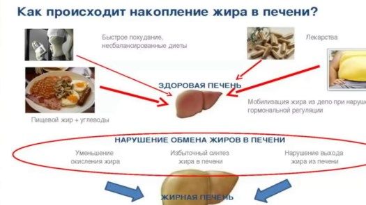 Диета при гепатозе печени - правила питания и диетическое меню