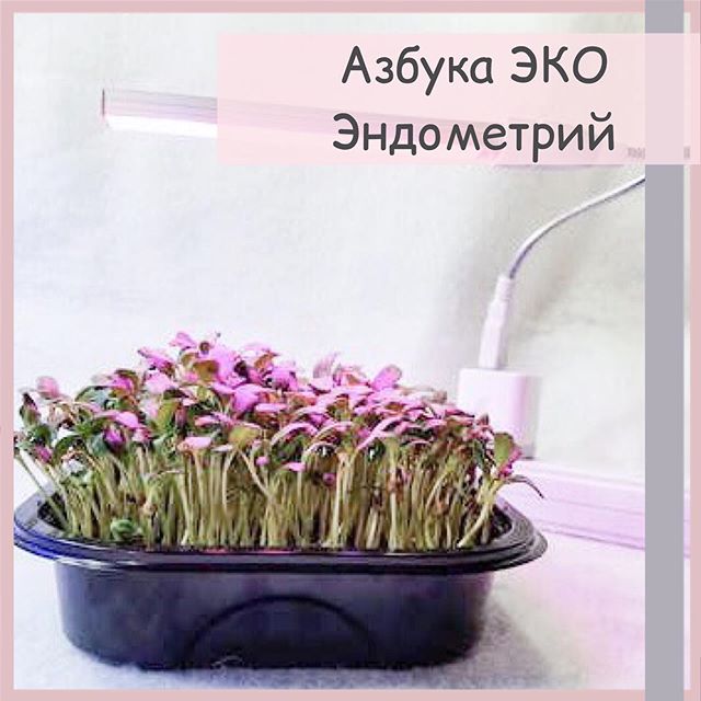 Почему увеличивается эндометрий. какие должны быть нормы толщины эндометрия по дням цикла