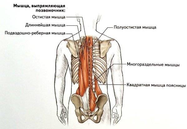 Что делать, если сорвал спину: первая помощь, методы лечения