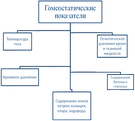 Гомеостаз