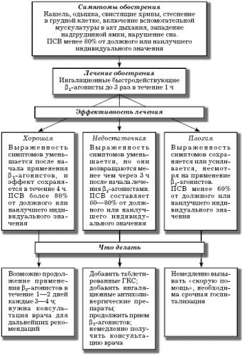 Неотложная помощь при бронхиальной астме - при приступе, алгоритм действий, первая помощь