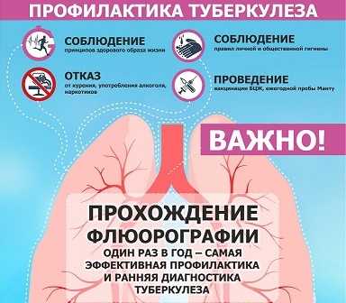 Как можно заразиться туберкулезом? как передается туберкулез от человека к человеку?