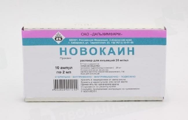 Укол собаке внутримышечно, подкожно, в холку, как сделать, куда колоть