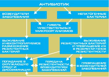 Болезнетворные бактерии их польза и вред