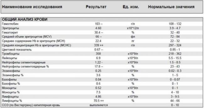 Анализ крови на туберкулез: показатели при общем анализе, расшифровка результатов