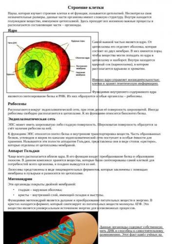 Строение клетки | student guru