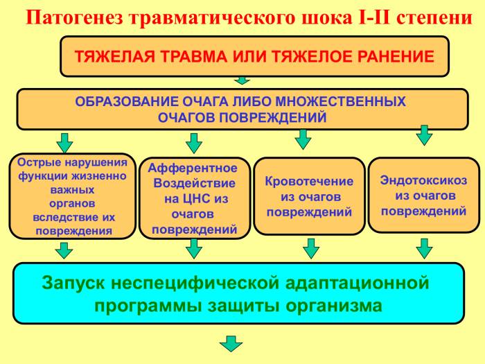 Патогенез