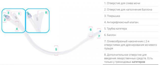 Методическая разработка практического занятия для преподавателя катетеризация мочевого пузыря мягким катетером. введение постоянного мочевого катетера и уход за ним