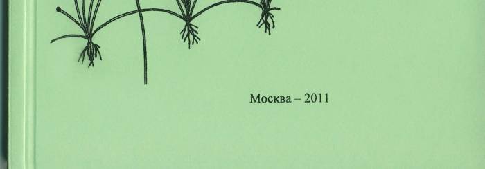 Какие организмы относятся к прокариотическим, почему бактерии относят к прокариотам