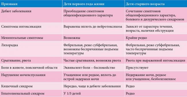 Как бактерии попадают в анализ мочи и чем опасна бактериурия
