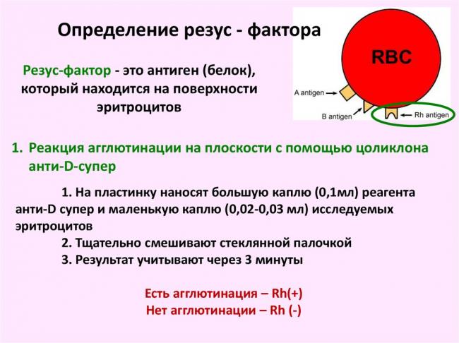 Агрегация и склеивание эритроцитов