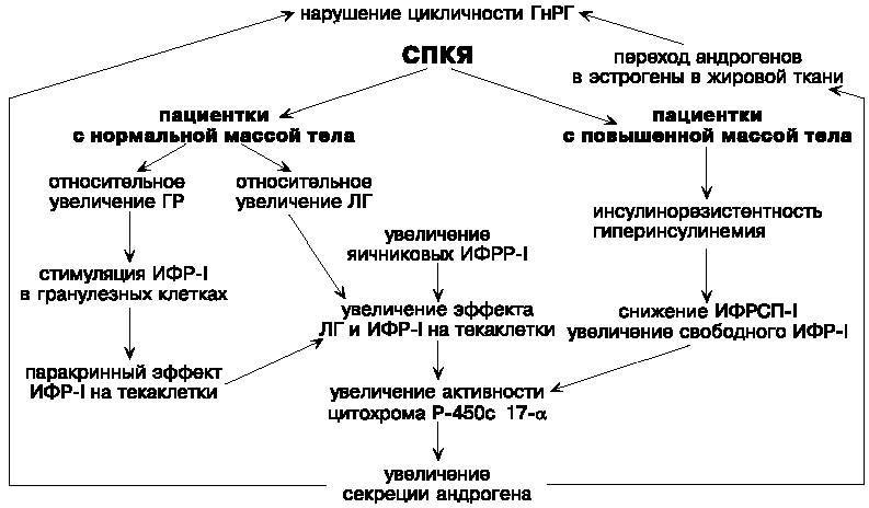 Поликистоз яичников (спкя): симптомы, причины, лечение