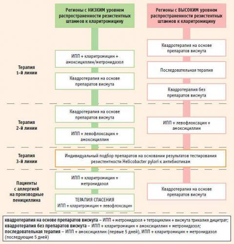Лечение хеликобактер пилори народными средствами