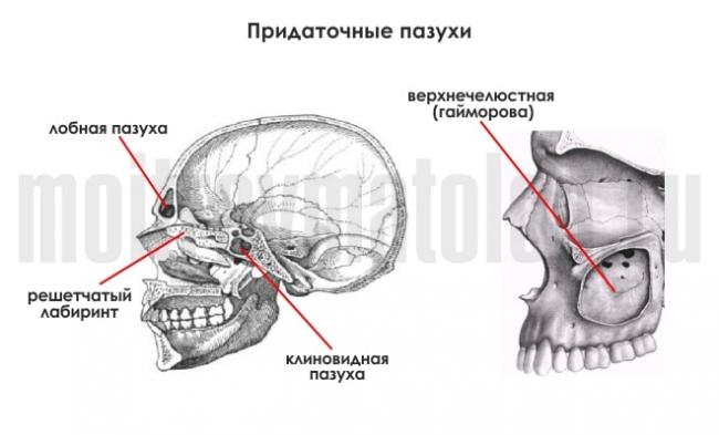 Перелом костей носа: симптомы и лечение