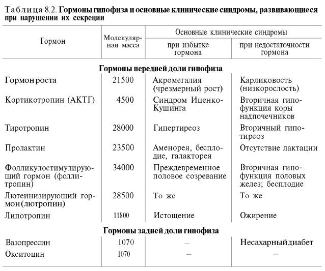 Особый гормон лептин, похудение без нормализации которого невозможно