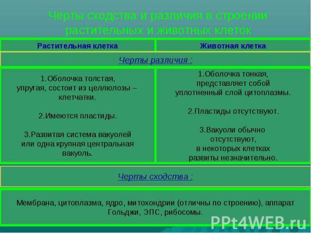 Различные стороны клеточного строения жизни на планете – бактерий, растений и животных