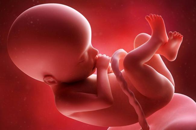Внутриутробная гипоксия плода: причины, симптомы и последствия гипоксии