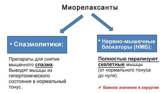 Но-Спазм инструкция по применению
