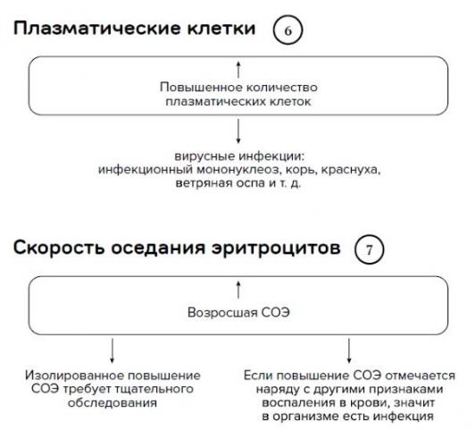 Причины повышенной соэ и восстановление уровня