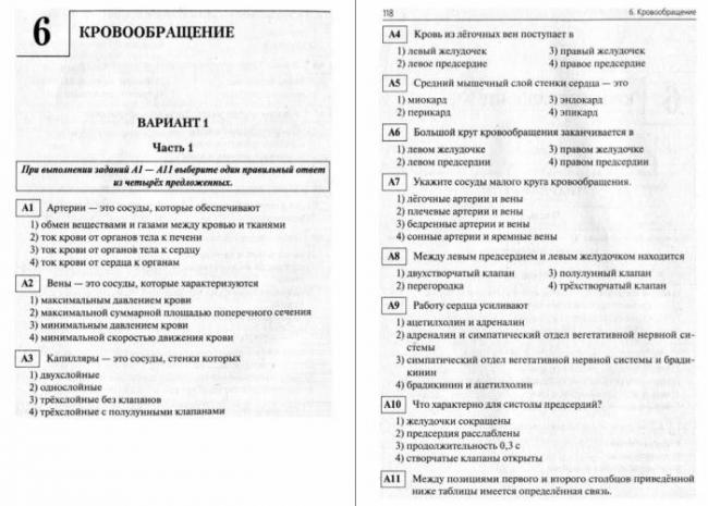 Кровеносные сосуды и кровообращение