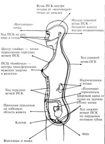 Причины и лечение преждевременной эякуляции у мужчин