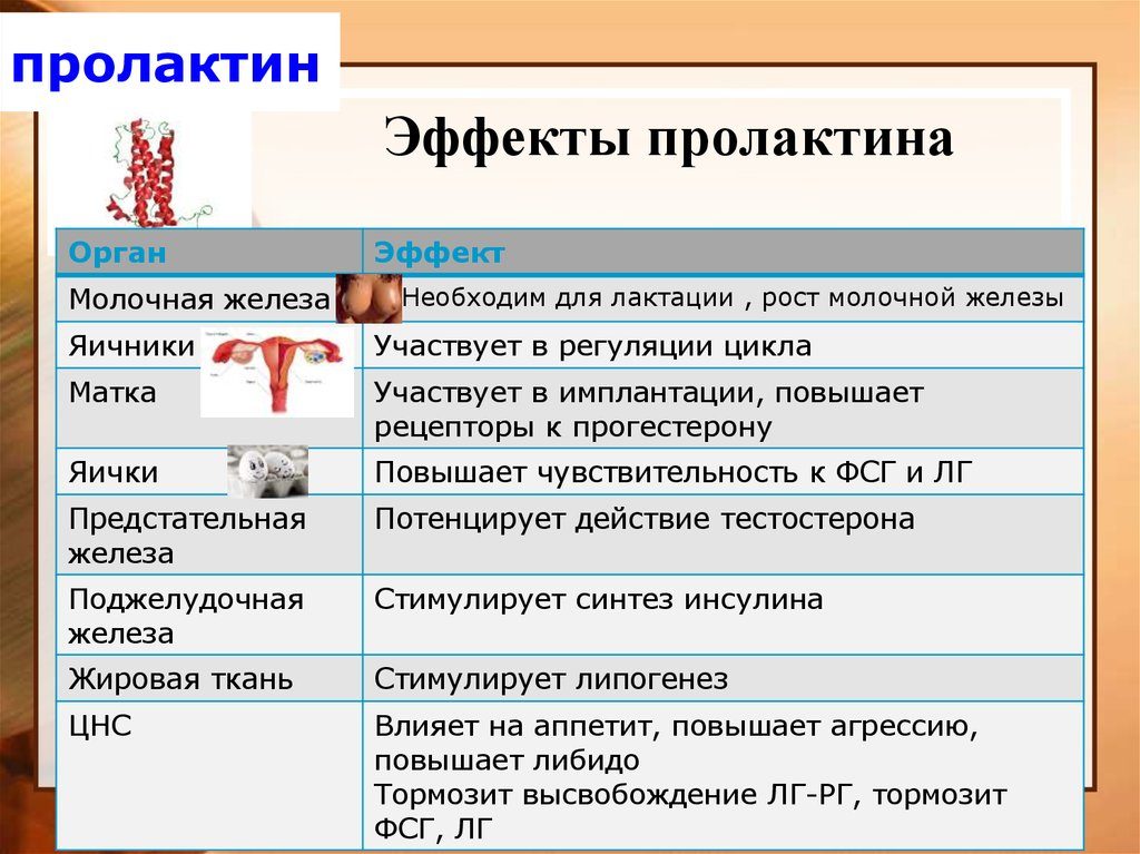 Способы как восстановить менструационный цикл, нормализуем месячные народными средствами. способы привести в порядок менструальный цикл