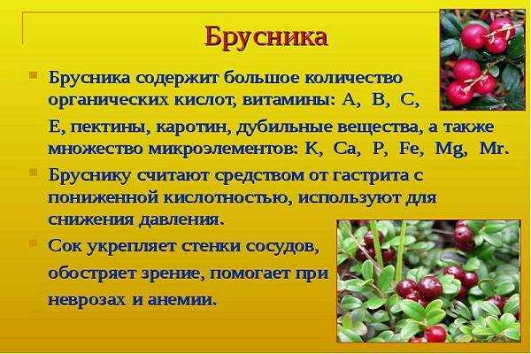 Можно ли пить бруснивер при камнях в почках