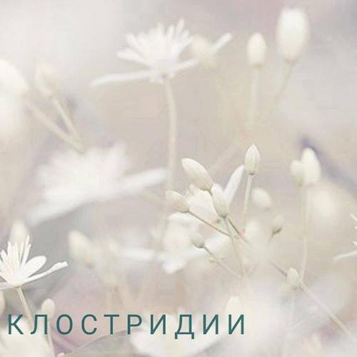 Особенности и применение маслянокислых бактерий
