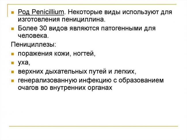 Разнообразие патогенных грибов: можем ли мы защититься от невидимого врага