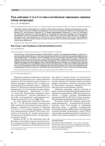 Тиреоидные гормоны: что такое, виды (т3, т4), синтез, функции, анализы