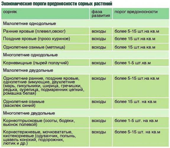 Фюзилад Форте Сингента