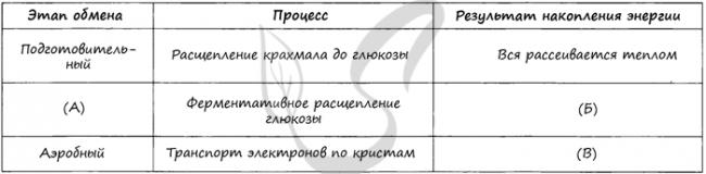 Презентация на тему: "метаболизм 2 цели урока: 1.формирование общих представлений о клеточном метаболизме и его биологическом значении. 2.развитие навыков самостоятельной работы.". скачать бесплатно и без регистрации.