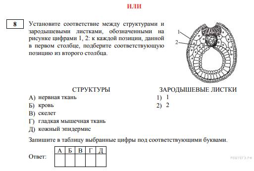 Восточные красавицы: 6 чарующих особенностей их внешности