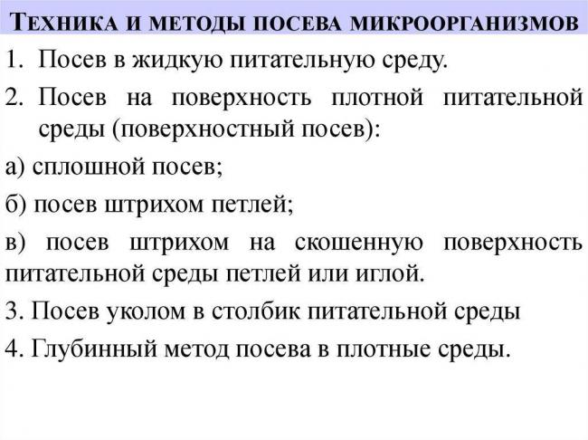 Главные принципы и особенности посева бактерий