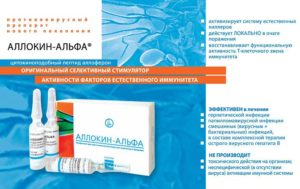 Инструкция