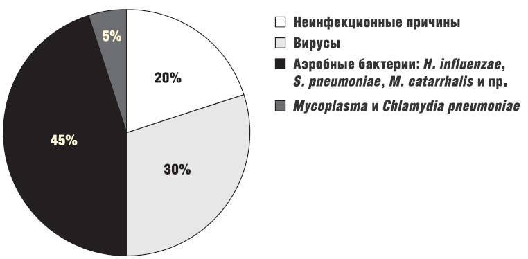 Жизнь на последней стадии хобл: лечение, прогноз, уход, как помочь больному при 4 стадии хронической обструктивной болезни лёгких