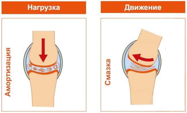 "геленк нарунг": состав препарата, отзывы врачей и инструкция по применению