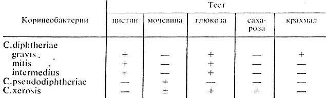 Тинкториальные свойства