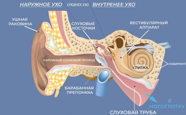 Отит и серная пробка у ребенка