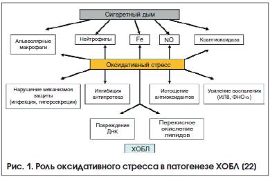 К чему приводит это страшное заболевание? патогенез и этиология хобл
