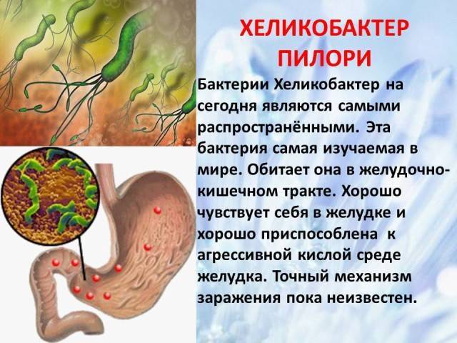 Как вылечить хеликобактер пилори народными средствами