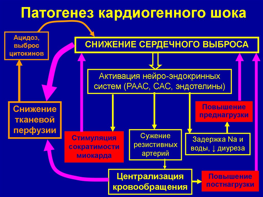 Презентация на тему: "общее понятие о болезни. этиология и патогенез. роль генетических факторов в патологии человека.". скачать бесплатно и без регистрации.