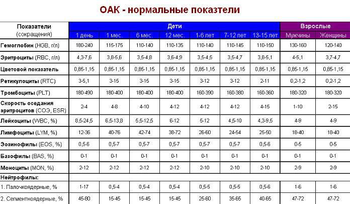 Анализ крови при бронхите — расшифровка