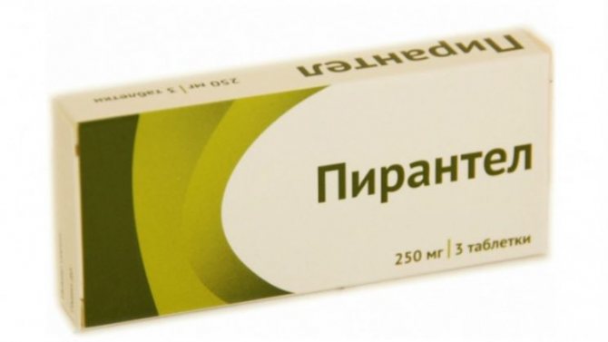 Карликовый цепень - возбудитель гименолепидоза