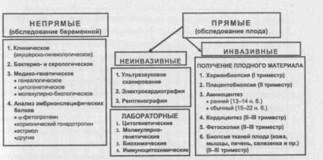 Скрининг первого триместра: расшифровка