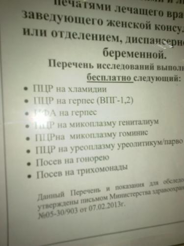 Лечение гайморита народными средствами при беременности