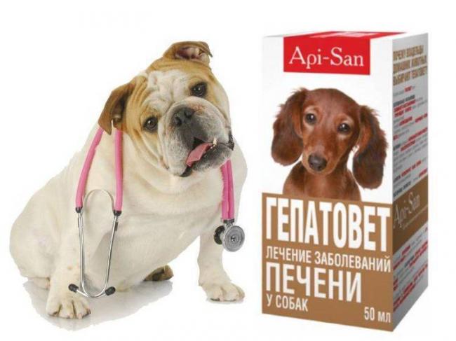 Артрогликан инструкция по применению для собак